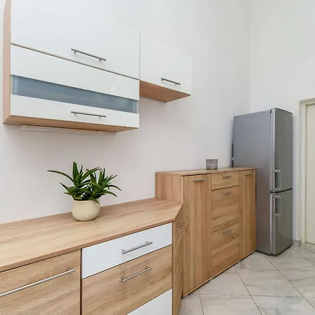 Mirjana Apartment Necujam
